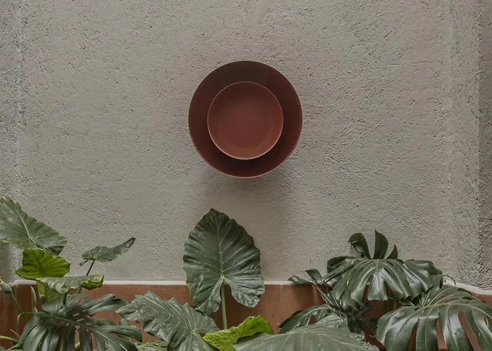 Apartamento Casa Pilar - Superior Terrace *